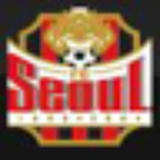 Favicon of https://ilovefcseoul.tistory.com